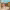 https://res.cloudinary.com/billionhands/image/upload/v1777928201/items/kgomk1mtiljbc2lfuws6.webp-3cover