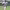 Torii Hunter cover