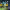 https://res.cloudinary.com/billionhands/image/upload/v1777929657/items/guulphuwult2fmu1hont.webp-3cover