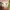 https://res.cloudinary.com/billionhands/image/upload/v1777930531/items/oqszkjshdcklyac2ps2w.png-1cover