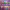 https://res.cloudinary.com/billionhands/image/upload/v1777930557/items/sq2zbrre6pbjfbpjhyyj.webp-2cover