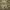 https://res.cloudinary.com/billionhands/image/upload/v1777930933/items/jlvgr84giv1paiwtzy5n.jpg-0cover
