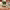 https://res.cloudinary.com/billionhands/image/upload/v1777932243/items/iyfmhmotbyebdinirb6k.jpg-0cover