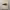 https://res.cloudinary.com/billionhands/image/upload/v1777933530/items/bhccbegqrwgnsphimzfo.webp-1cover