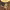 https://res.cloudinary.com/billionhands/image/upload/v1777934202/items/zf8f5uyezjf9zrmfveof.jpg-3cover