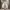 https://res.cloudinary.com/billionhands/image/upload/v1777934984/items/ah7cfkagj0p9dl0lew3z.jpg-3cover
