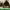 https://res.cloudinary.com/billionhands/image/upload/v1777937047/items/ivdzbuuiz8odbf9esuzv.jpg-2cover