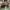 https://res.cloudinary.com/billionhands/image/upload/v1777938013/items/a12wbwdwhw9bvzxgzp2z.webp-3cover
