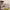 https://res.cloudinary.com/billionhands/image/upload/v1777939915/items/sqnjjxluymxuui5qhtte.jpg-2cover