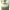 https://res.cloudinary.com/billionhands/image/upload/v1777939916/items/mimwfw9icx2wn1b2vqc1.jpg-3cover