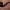 https://res.cloudinary.com/billionhands/image/upload/v1777940612/items/tc28a5w1vhte25nfcvt1.jpg-1cover