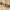 https://res.cloudinary.com/billionhands/image/upload/v1777944180/items/fx2cx8zmd7heqmmxfioy.jpg-0cover