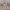 https://res.cloudinary.com/billionhands/image/upload/v1777944182/items/fpz92sjnxnxyzzv7xo3d.png-2cover