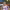 https://res.cloudinary.com/billionhands/image/upload/v1777952102/items/e2gx2bfg9j8y8mrrlxcs.jpg-3cover