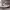 https://res.cloudinary.com/billionhands/image/upload/v1777953539/items/pgoyj5w4yocayakmtw3t.jpg-1cover