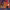 https://res.cloudinary.com/billionhands/image/upload/v1777957996/items/bkvlbf8g9wn88ucxurrq.jpg-0cover