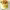 https://res.cloudinary.com/billionhands/image/upload/v1777967478/items/l7cbfgbot6rjnisvozqw.webp-0cover