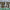 https://res.cloudinary.com/billionhands/image/upload/v1777971424/items/xeecmqvyqwjzy9xyjesh.webp-2cover