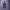 https://res.cloudinary.com/billionhands/image/upload/v1777976398/items/gwxq7jxhxbtxazmmlcki.jpg-3cover