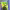 https://res.cloudinary.com/billionhands/image/upload/v1777976538/items/zaivqkgay40drqxys3y0.jpg-2cover