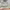 https://res.cloudinary.com/billionhands/image/upload/v1777976544/items/c4lznzkovvhnducty69d.jpg-0cover