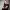 https://res.cloudinary.com/billionhands/image/upload/v1777977747/items/ukycpngv62soqspddq6x.jpg-1cover