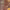 https://res.cloudinary.com/billionhands/image/upload/v1777978867/items/sprdhqw2zsew8qgrst8j.jpg-0cover