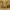 https://res.cloudinary.com/billionhands/image/upload/v1777978868/items/ylkn93omwwhpfzh6swyf.webp-3cover