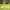 https://res.cloudinary.com/billionhands/image/upload/v1777983584/items/a28pm9yw50q0lxqutskm.jpg-3cover