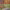 https://res.cloudinary.com/billionhands/image/upload/v1777985490/items/jxsx3nm1ntcxqdnyqjo5.jpg-0cover