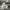 https://res.cloudinary.com/billionhands/image/upload/v1777987662/items/uboqygq9qy3rmypl2tdx.webp-3cover