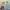 https://res.cloudinary.com/billionhands/image/upload/v1777991517/items/xkefq0yxshxwpsxrrewa.webp-2cover