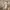 https://res.cloudinary.com/billionhands/image/upload/v1777991525/items/qrs5iglw3zlzhpz4ohnr.webp-3cover