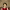 https://res.cloudinary.com/billionhands/image/upload/v1777991545/items/nhvdfxlgv9smcupo01pz.webp-2cover