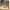 https://res.cloudinary.com/billionhands/image/upload/v1777992340/items/ryonszdfk6iv4ioqcd48.jpg-2cover