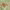 https://res.cloudinary.com/billionhands/image/upload/v1777993104/items/ipmzyzp6hgwchrrs6msb.jpg-2cover