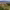 https://res.cloudinary.com/billionhands/image/upload/v1777993117/items/ce8xzuylikvnikishqkw.jpg-0cover