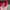 https://res.cloudinary.com/billionhands/image/upload/v1777994196/items/hmfr8wwpvdw5wy93e1bw.webp-0cover