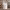 https://res.cloudinary.com/billionhands/image/upload/v1777994806/items/jqsxowhma07jlacxe2g4.webp-3cover