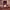https://res.cloudinary.com/billionhands/image/upload/v1777994829/items/wmwvr2kaa0j3oqfxvvvs.webp-1cover