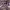 https://res.cloudinary.com/billionhands/image/upload/v1777994836/items/puzrkimyxoci9g2z1sfn.webp-3cover