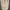 Alton Wines 2022 Alder Ridge Vineyard Sauvignon Blanc cover