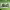 https://res.cloudinary.com/billionhands/image/upload/v1777999006/items/k1xplna2uf6smehfspew.webp-1cover