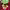 https://res.cloudinary.com/billionhands/image/upload/v1777999026/items/kgxsqpsw88r5vhlx98ka.jpg-3cover