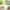https://res.cloudinary.com/billionhands/image/upload/v1777999027/items/stuzl907bhhxzimsc3b9.jpg-3cover