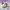 https://res.cloudinary.com/billionhands/image/upload/v1777999029/items/k9uhhyxj53uo52myvohr.jpg-1cover