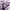 https://res.cloudinary.com/billionhands/image/upload/v1778000024/items/rq6m6p8dkcuav5nqhwup.jpg-2cover