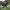 https://res.cloudinary.com/billionhands/image/upload/v1778000939/items/skqc7os4igtlhkvhrjku.jpg-0cover