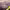 https://res.cloudinary.com/billionhands/image/upload/v1778002615/items/r3gvv5jt0cfu01zmrwzv.jpg-2cover