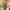 https://res.cloudinary.com/billionhands/image/upload/v1778002622/items/fd1wkdbso9o0q7hiwtif.avif-0cover